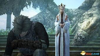 动态龙视频在线观看,沉浸式体验，畅享精彩瞬间  第3张