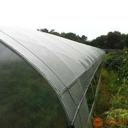 南城大棚爆料最新消息 第1张 南城大棚爆料最新消息 第1张